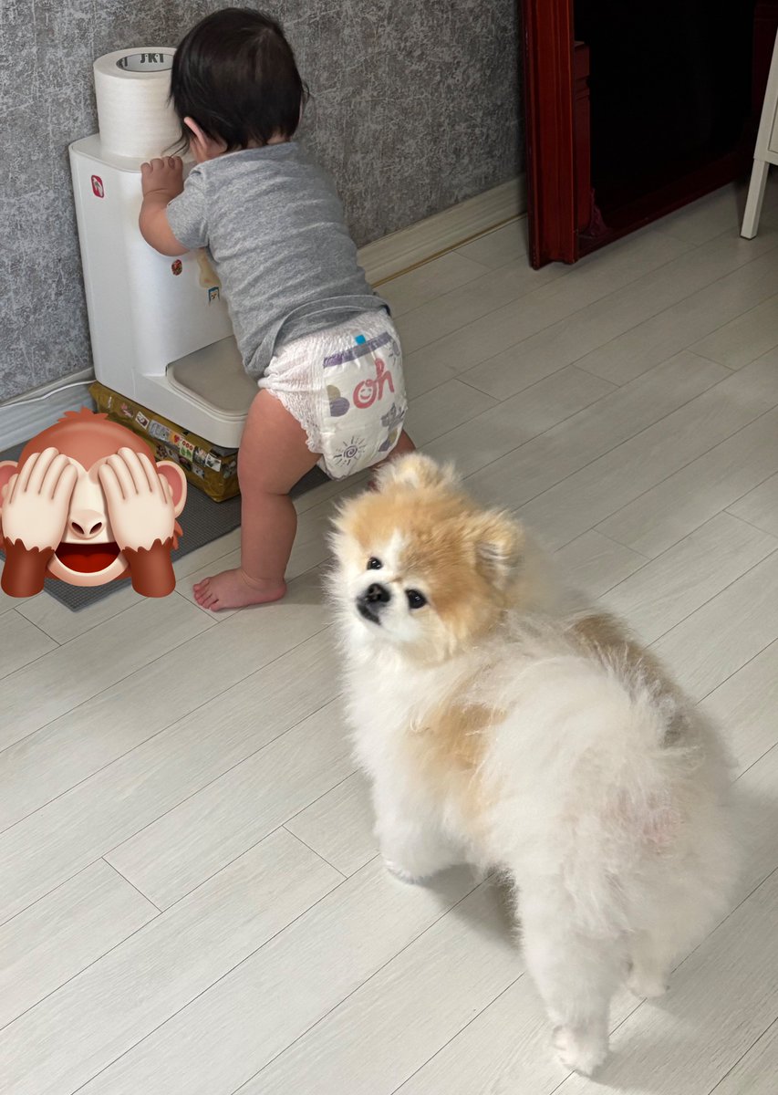 호돌라 tweet media