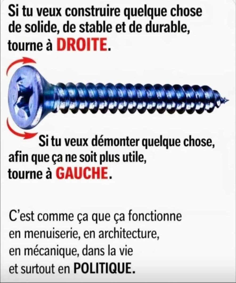 Morgane Dulac tweet media