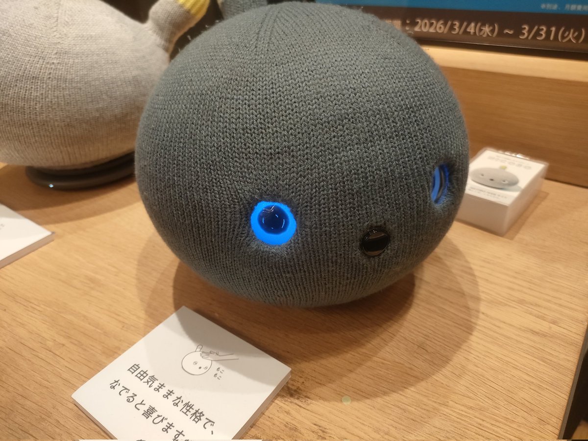 ニコボ見てきた。よく動いてかわいい。手の届く価格だしお迎えしようかなあ