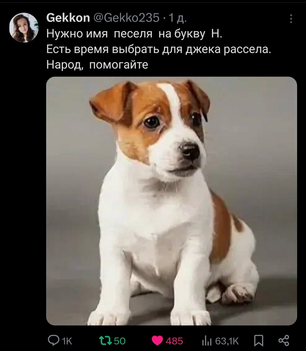 katatsumuri tweet media