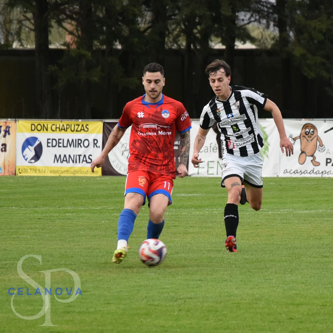 SportingCelanova tweet media