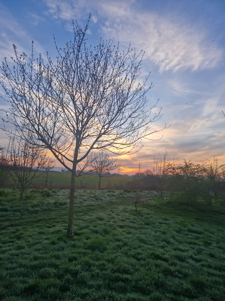 tracehodge tweet media