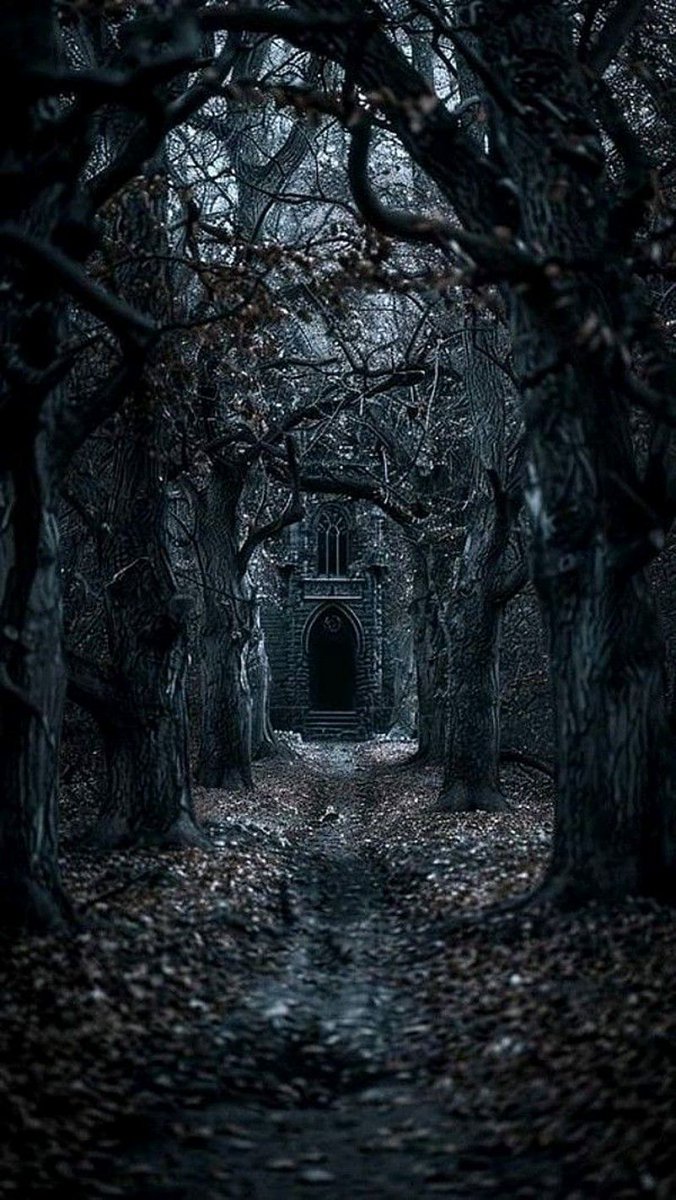 digitalmo0nk's tweet image. The fields lay wan and colorless,
no shadow left to keep.
A crow crossed low and vanished fast
into the ashen deep.

I walked a path too often known,
each turn a thing long past.
The day seemed sealed against all change
beneath an overcast.

#vss365 #overcast