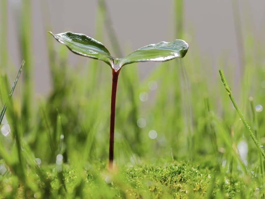 Cason Barnhill tweet media