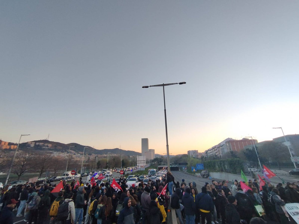 HORITZÓ tweet media