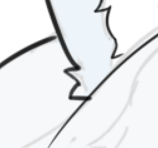 Shu-Stella🔞 tweet media