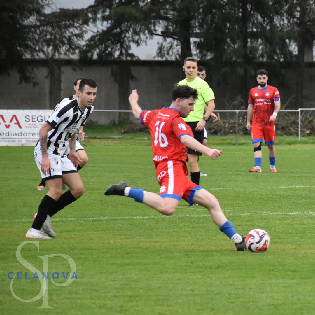 SportingCelanova tweet media