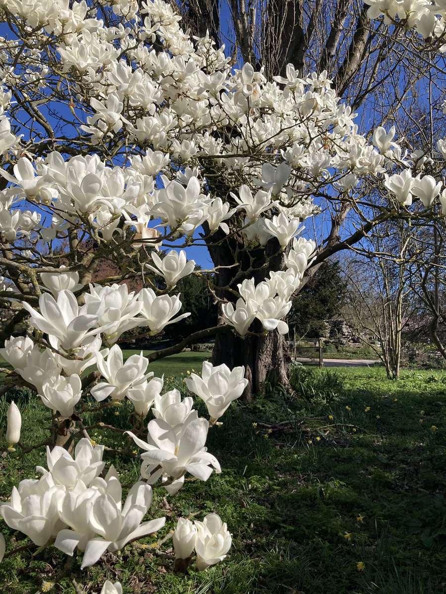 Sandy De Born tweet media