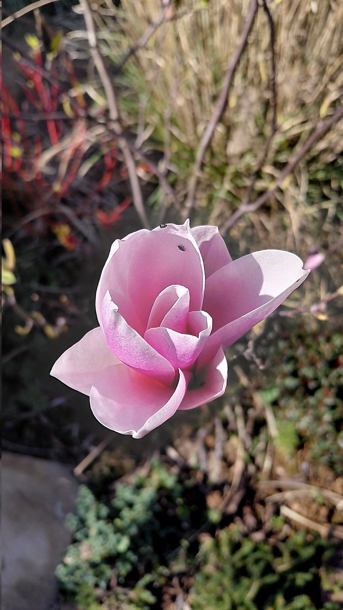 David L Barratt 🏳️🌈He/Him 🏳️⚧️Ally tweet media