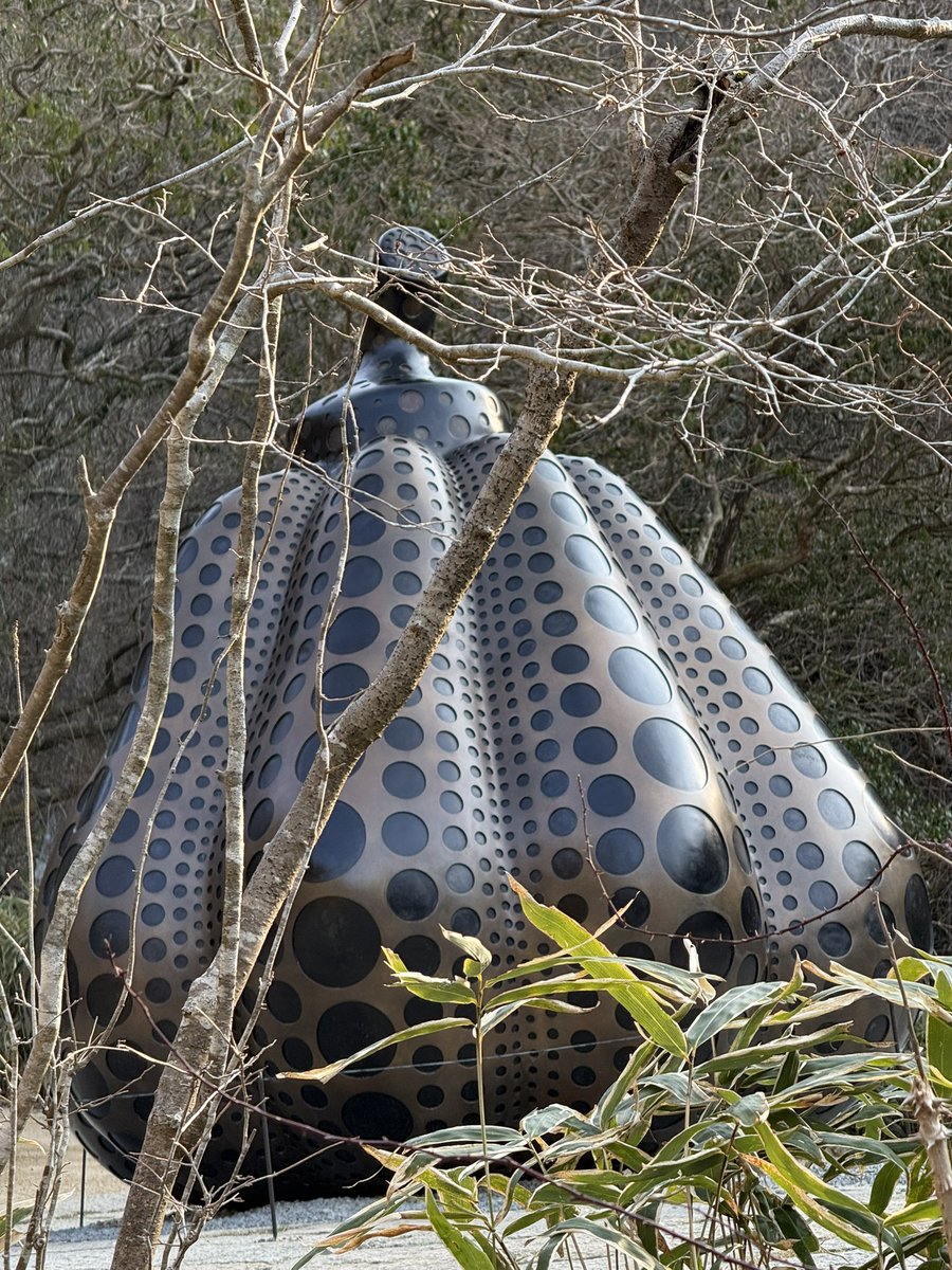 TakeTV100 tweet media