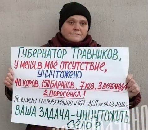 ШИРЛИ-МЫРЛИ tweet media