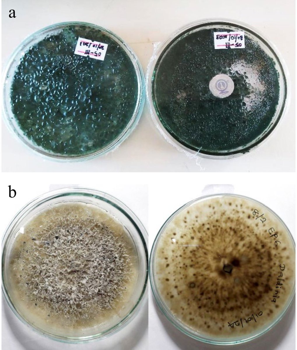 Ecological Agriculture Research tweet media