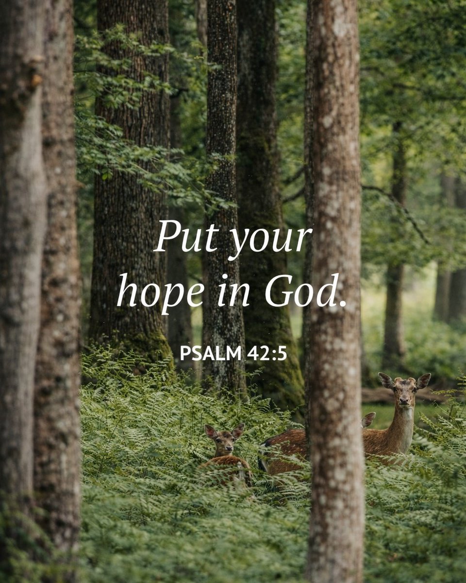 God and Grind. tweet media