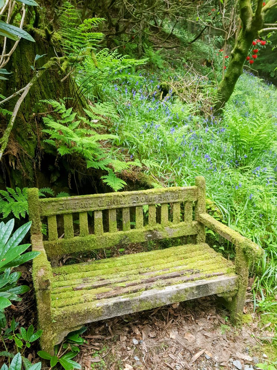 Joyce 🌸🌺🪻🌏✈️🚗👫🏼 tweet media