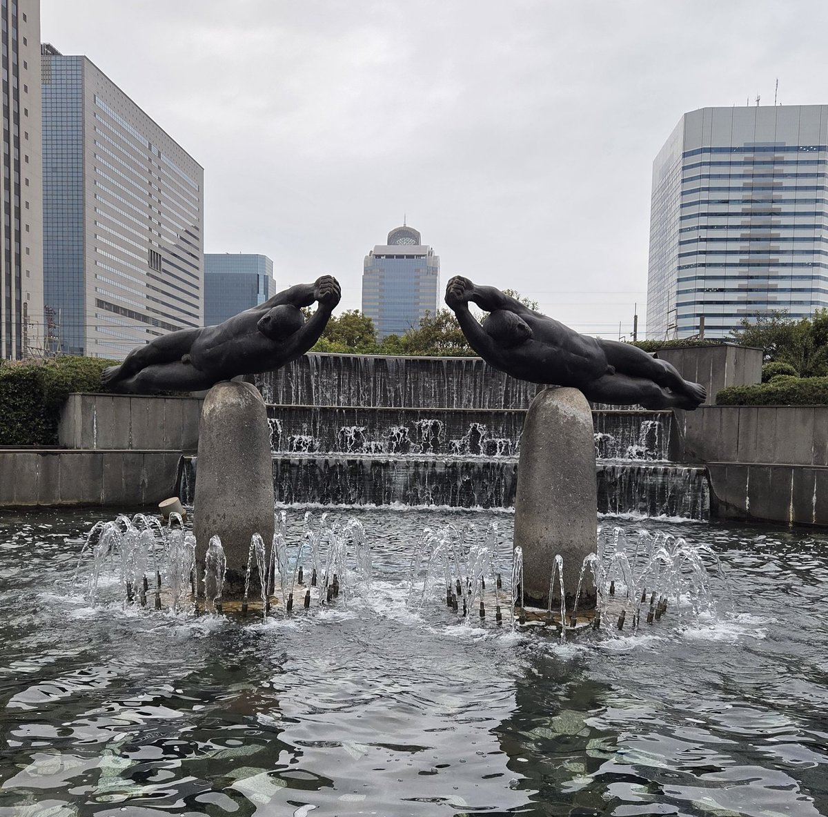 まゆみ tweet media