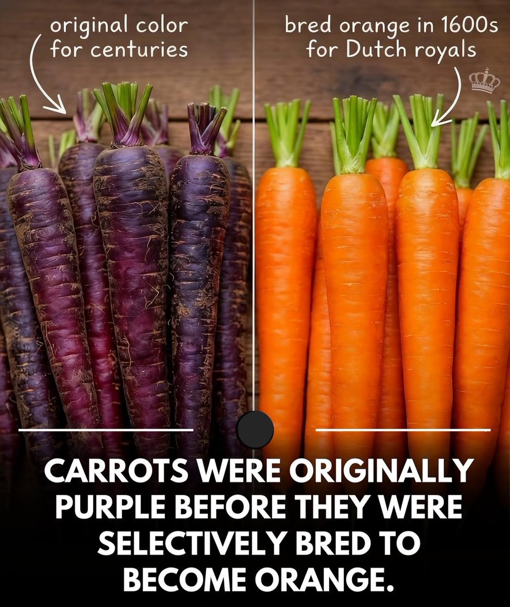 @FactExplorer tweet media