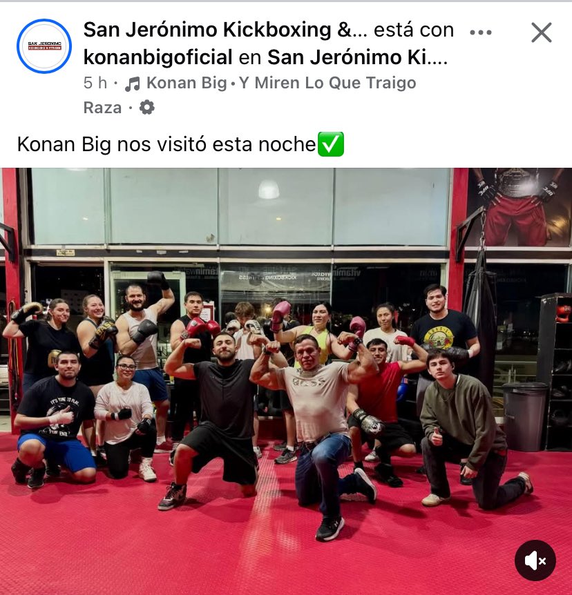 gabogabo tweet media