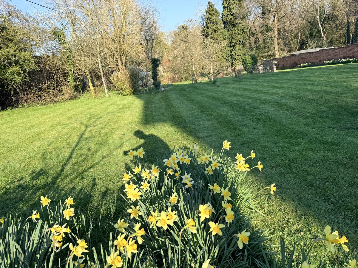 Andrew Dowson tweet media