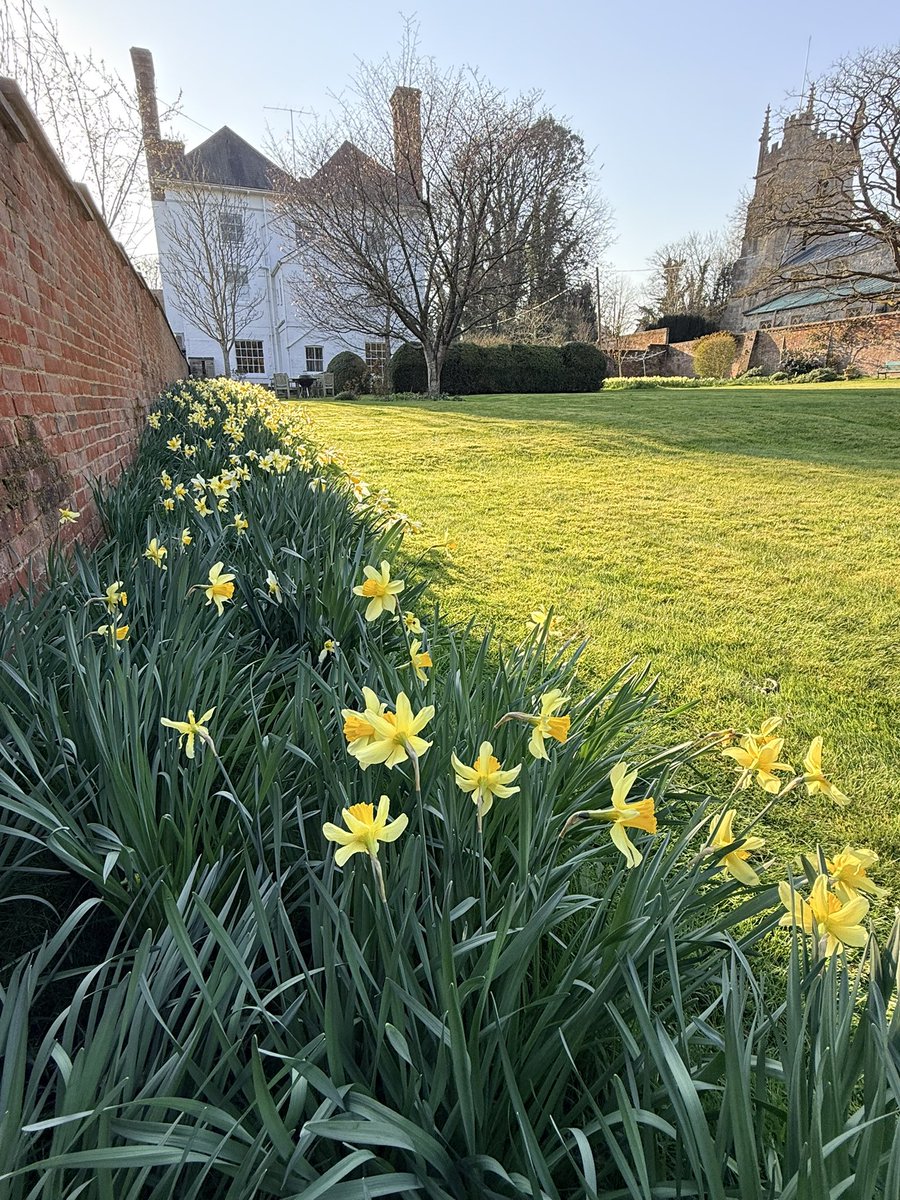 Andrew Dowson tweet media