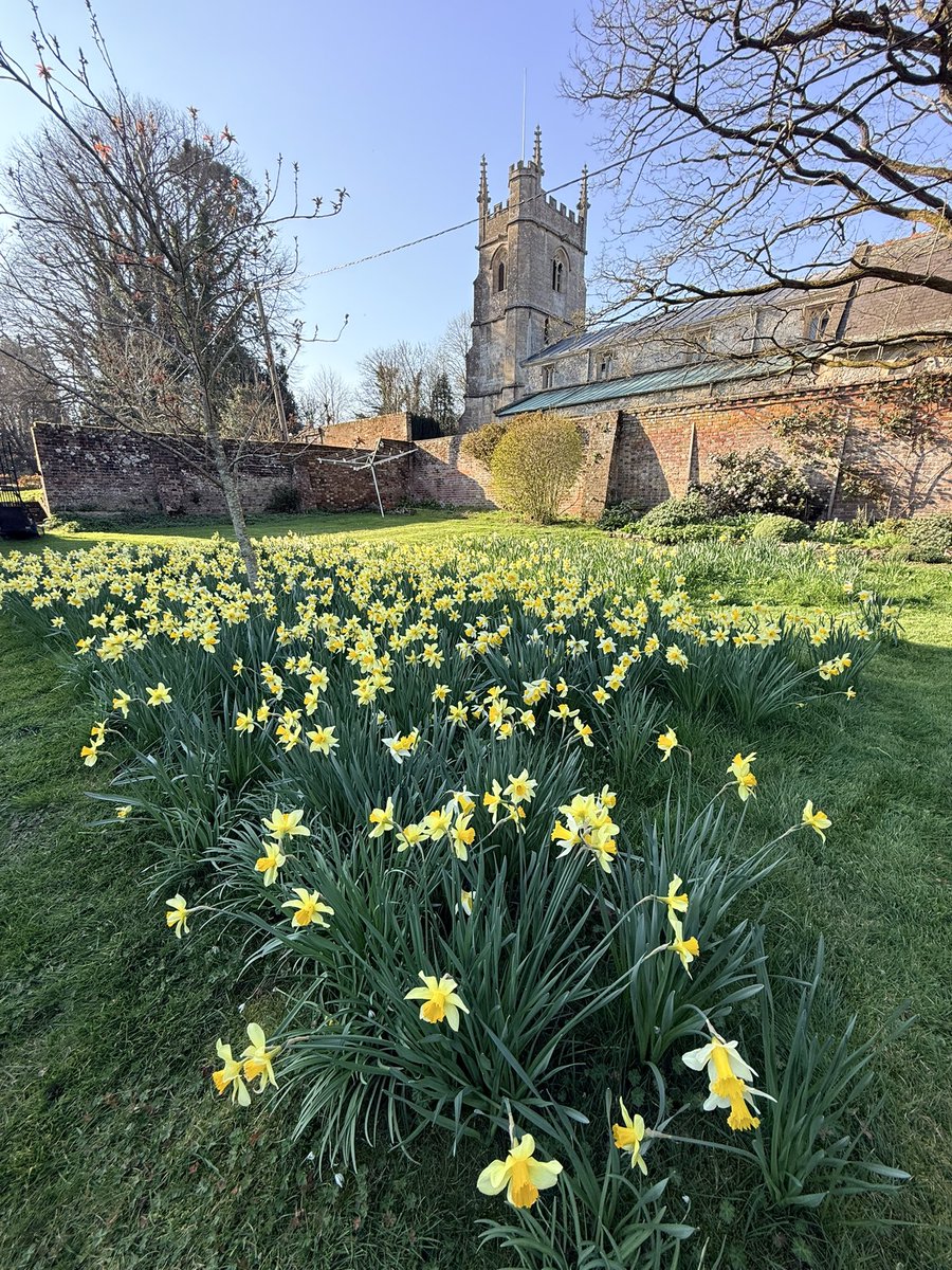 Andrew Dowson tweet media