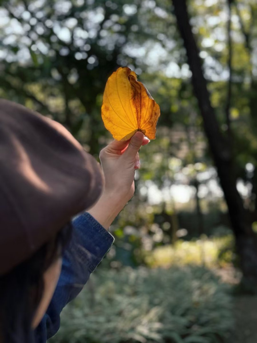 Nuchchana tweet media