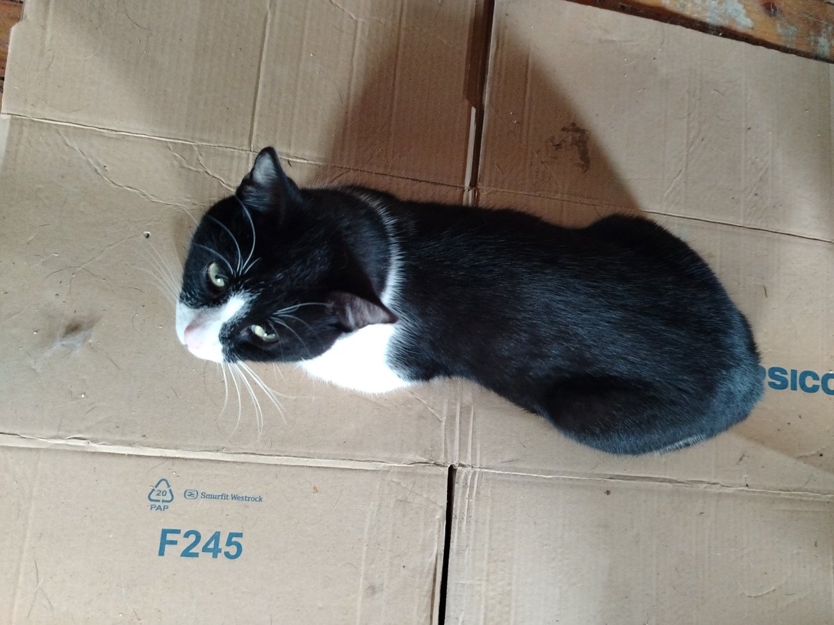 M. Dragojlovic tweet media