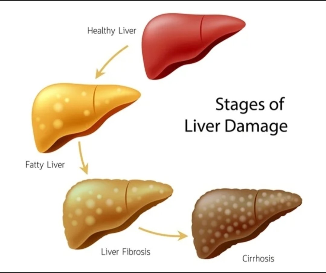 Dr Champion tweet media
