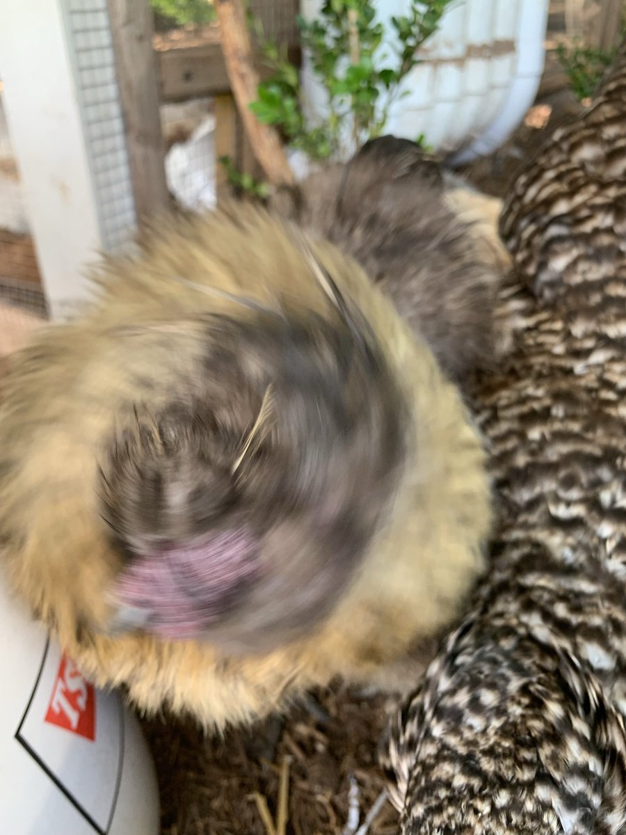 Cath !!! tweet media