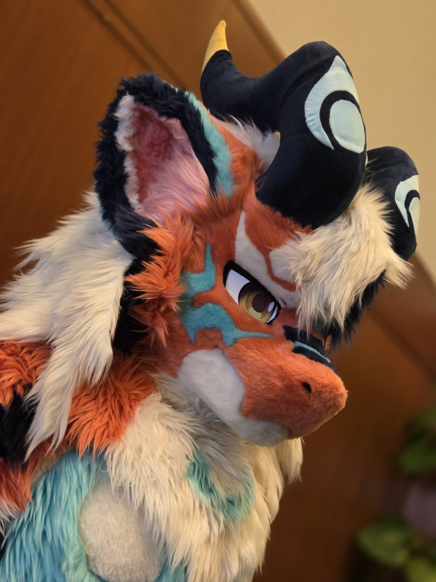 龍焱(リュウエン) tweet media