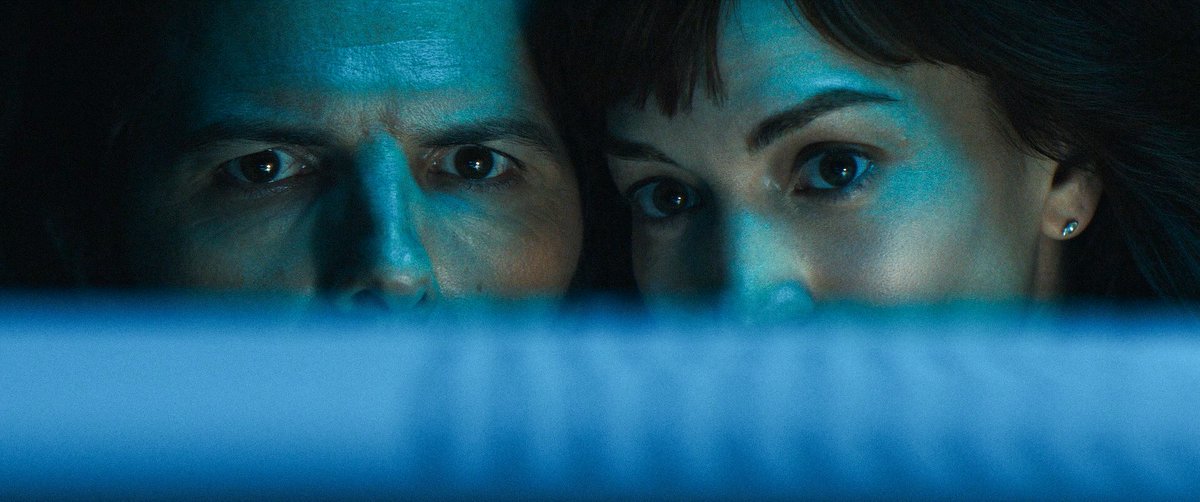 maria 🍁 tweet media