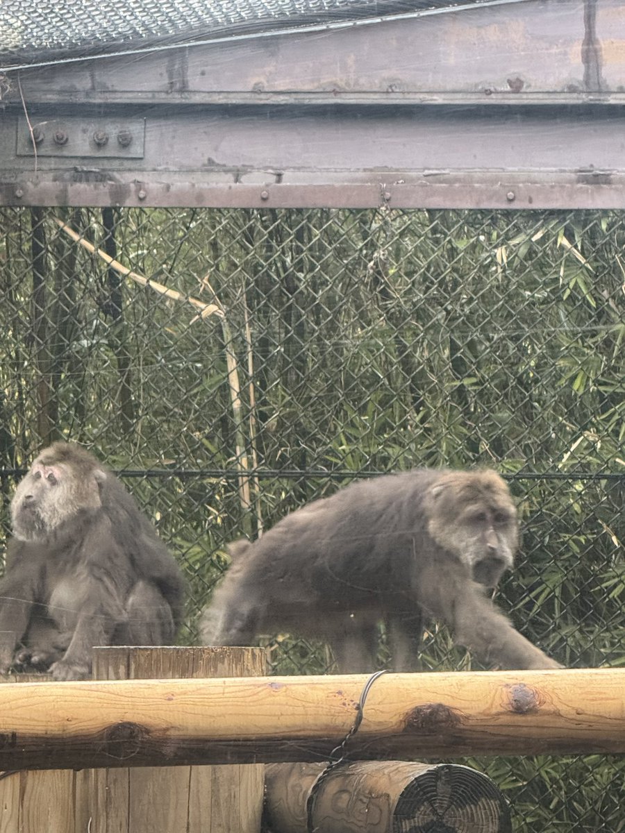 えつこ・ゼタ tweet media