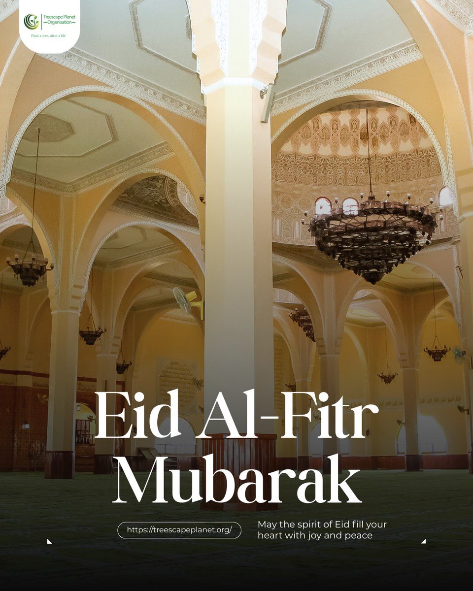 Treescape Planet Organization tweet media