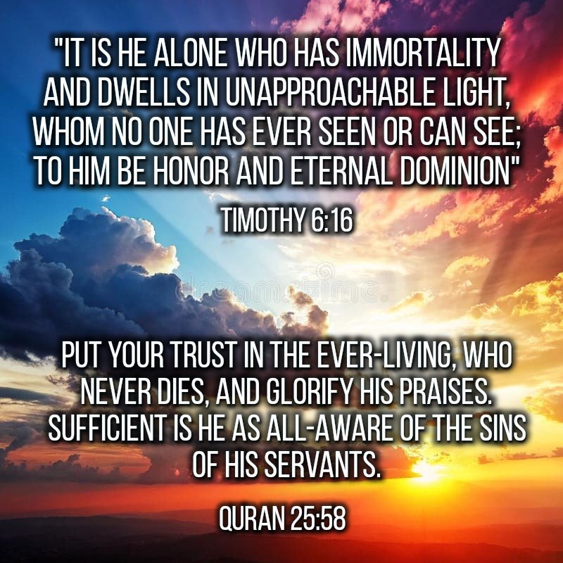 Maximusure tweet media