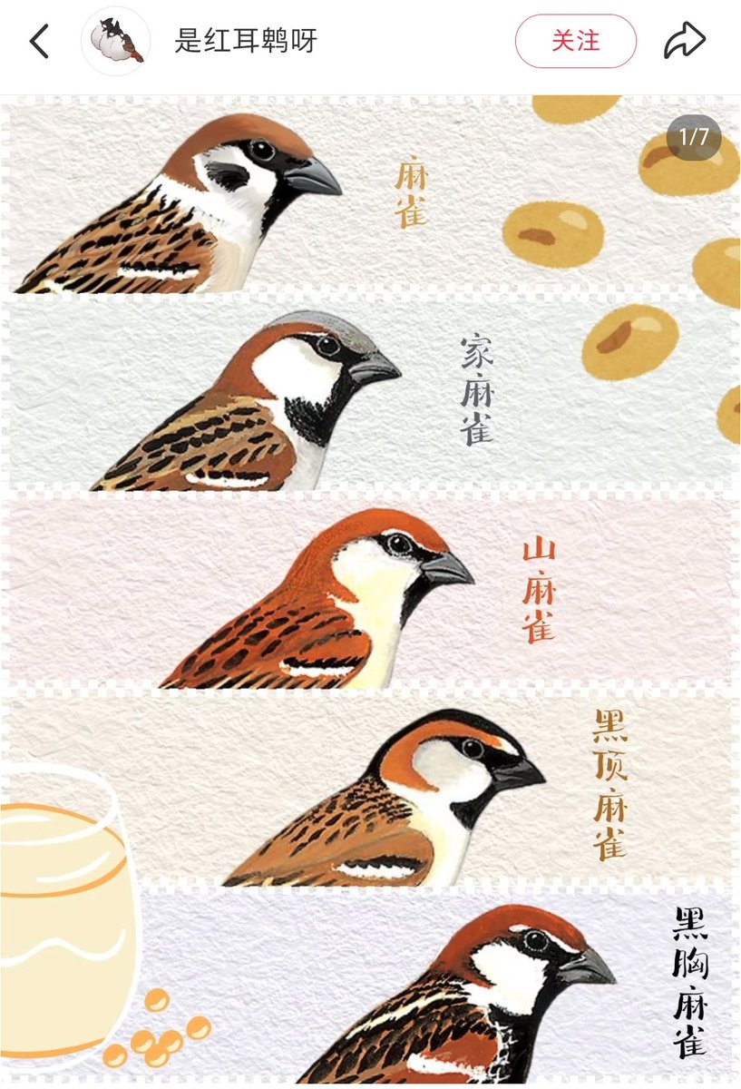 山谷剛史 アジア中国ITライター&異国飯 tweet media