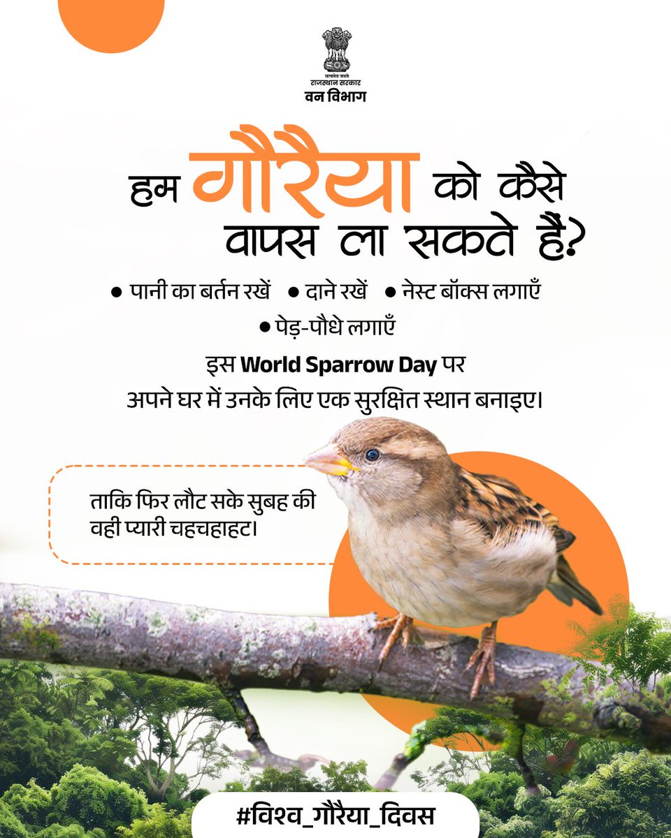 ForestRajasthan's tweet photo. गौरैया जैसी नन्हीं पक्षियों की वापसी हमारे पर्यावरण के संतुलन का संकेत है। बदलते समय में इनके लिए सुरक्षित जगहें कम होती जा रही हैं, लेकिन हमारे छोटे प्रयास इन्हें फिर से हमारे आस-पास ला सकते हैं। 

आइए, ऐसा अनुकूल और सुरक्षित वातावरण बनाएं जहाँ गौरैया फिर से लौट सके।

#WorldSparrowDay #SaveSparrows #BirdConservation #UrbanBiodiversity #ProtectNature