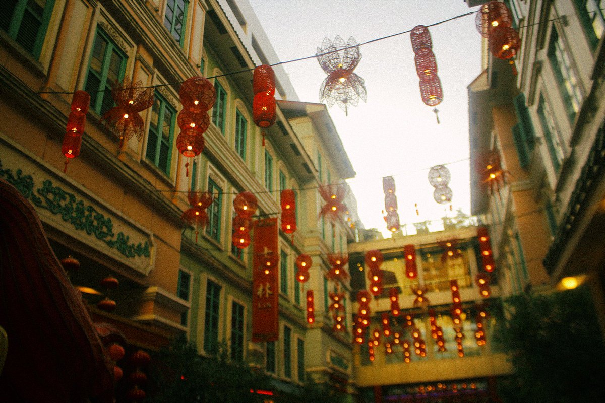 ๋dae 🔻 tweet media