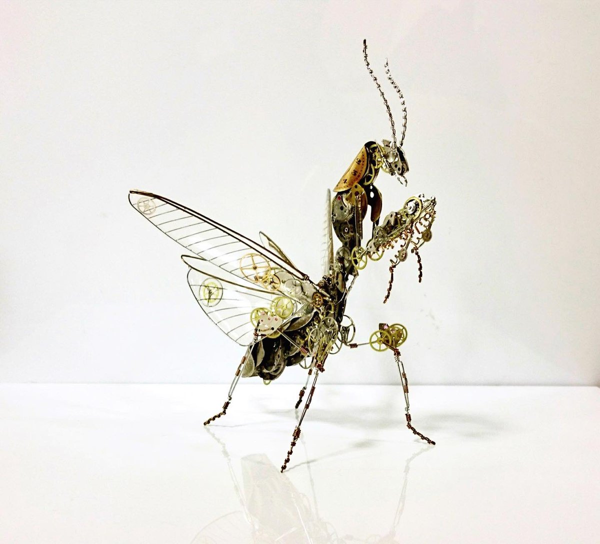 あー🕷️ tweet media