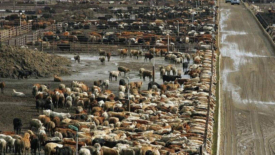 Stefano Caire tweet media