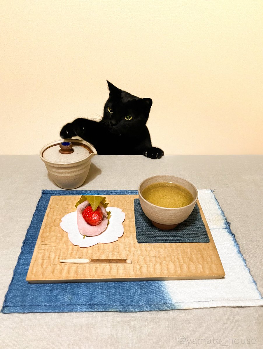 yamato house tweet media