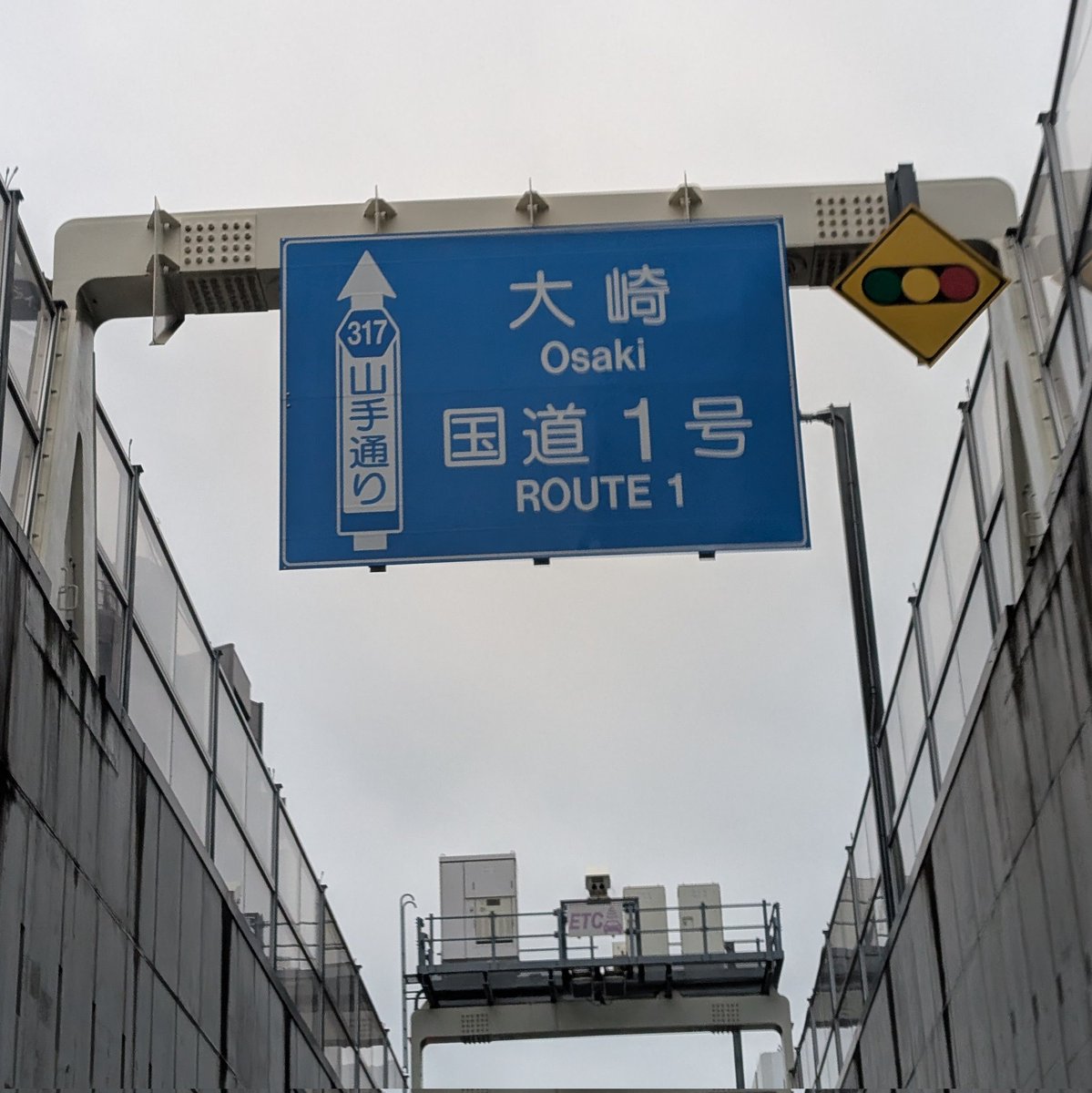 honogunma's tweet photo. 帰って来た！ https://t.co/OCN3HwWGPl