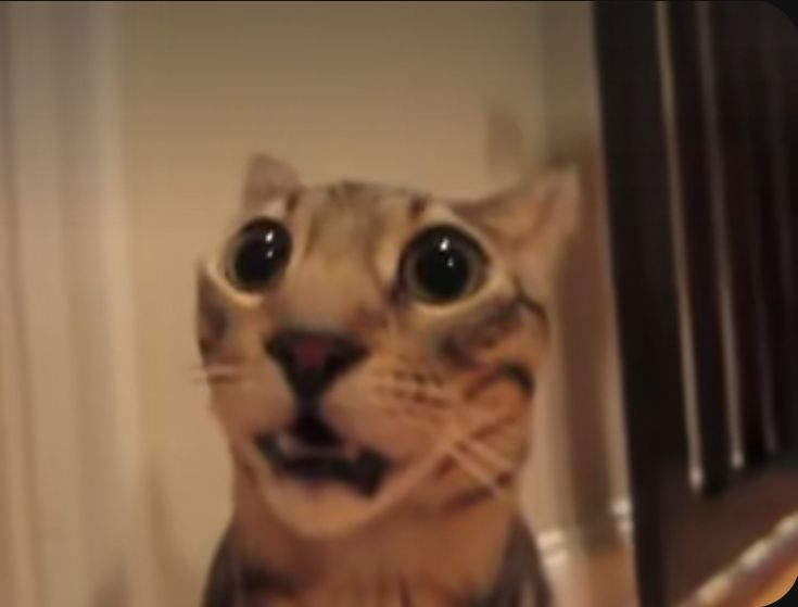 BRANDON🍀🖤 || tweet media