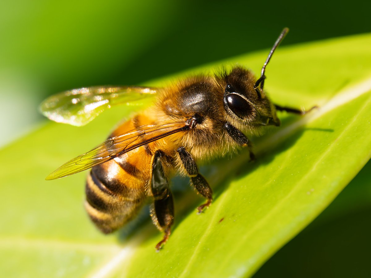 David Turner (gs65 on B S k y) tweet media