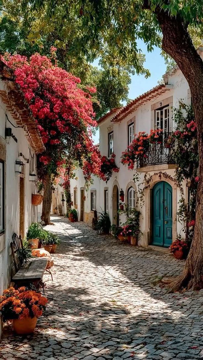 🌺🌼🌿🌼 Ǥ𝓻𝐚zɨa 🌼🌿🌼🌺 tweet media