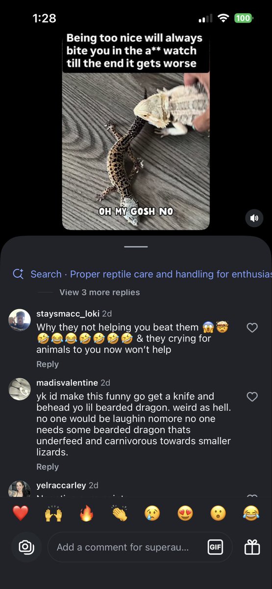 Cleora ~ Minecraft Skinner tweet media