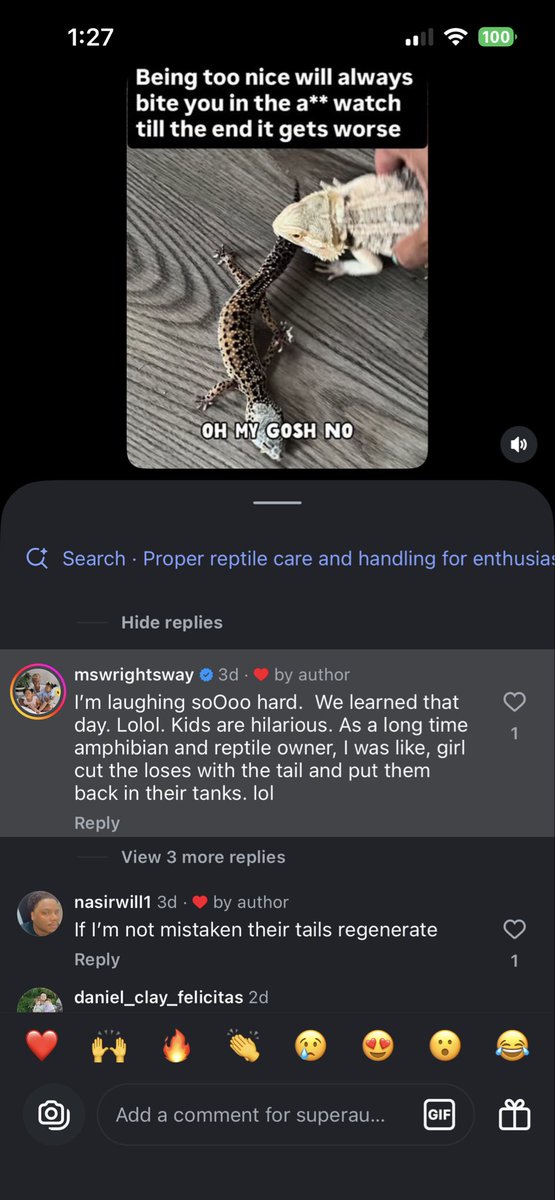 Cleora ~ Minecraft Skinner tweet media