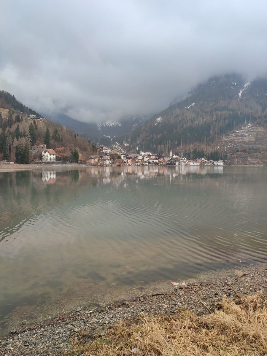 Orsola Del Zenero tweet media