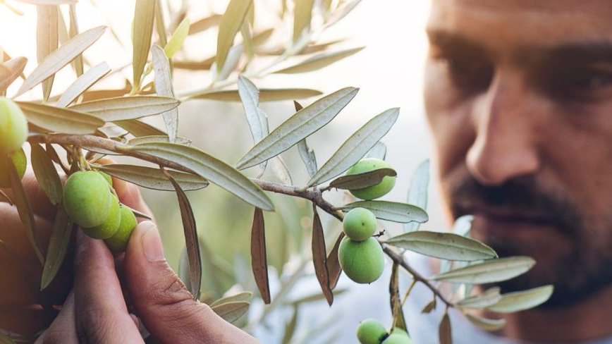 Intesa Sanpaolo tweet media