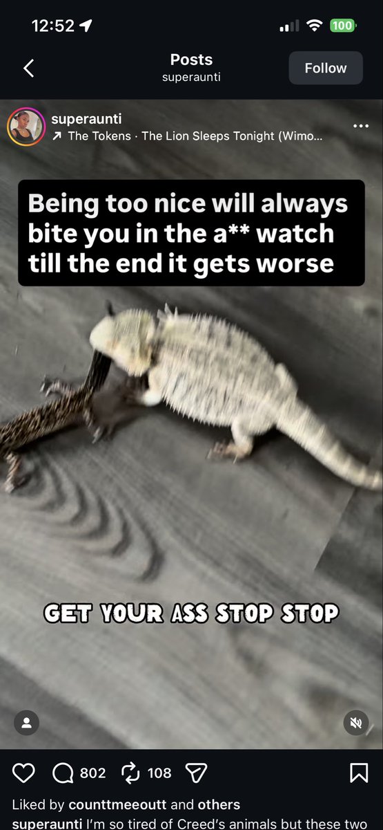 Cleora ~ Minecraft Skinner tweet media