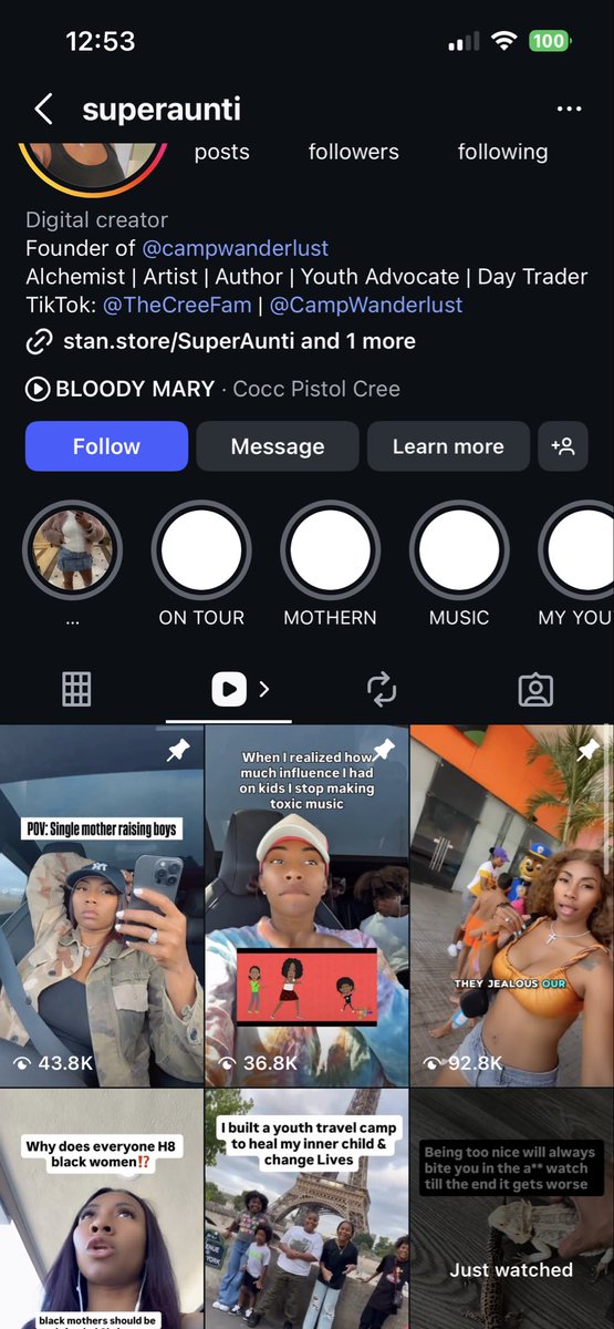 Cleora ~ Minecraft Skinner tweet media