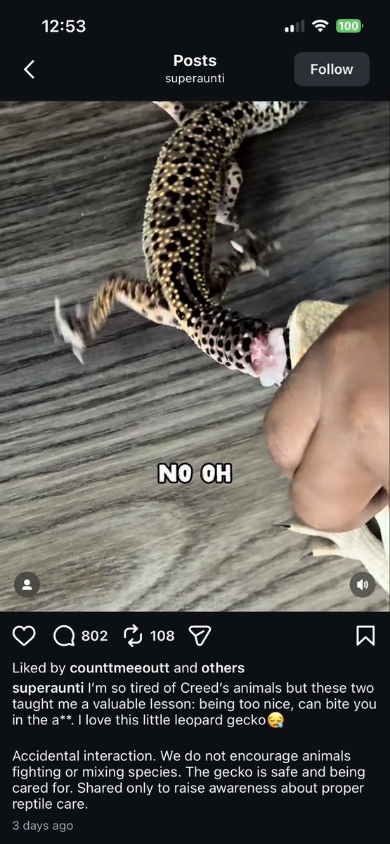 Cleora ~ Minecraft Skinner tweet media